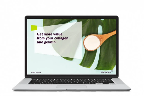 Get more value from your collagen and gelatin brochure