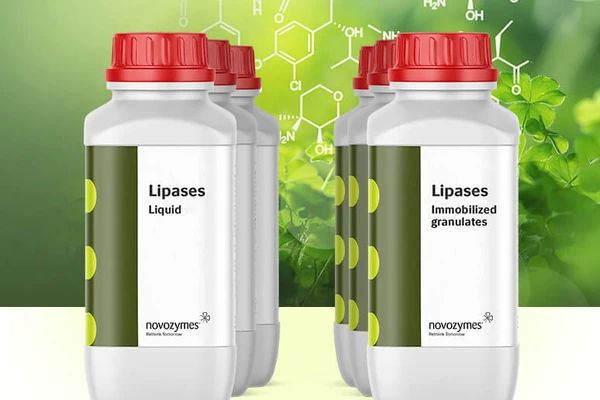 Liquid glass bottle 2lipases