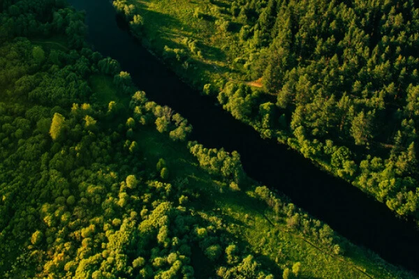 forest river