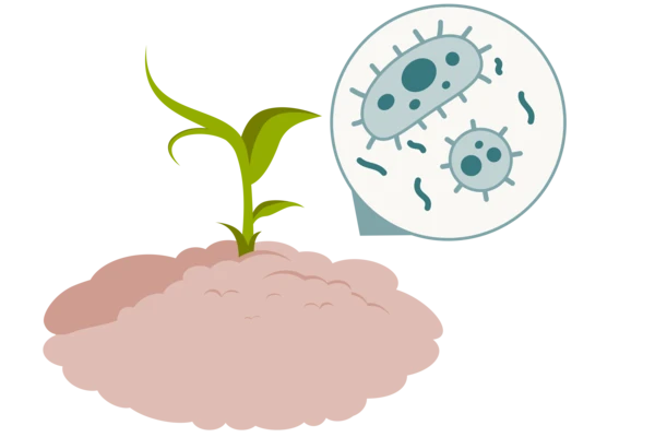 microbes and enzymes crop illustration