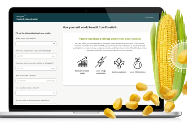 Frontia calculator mockup