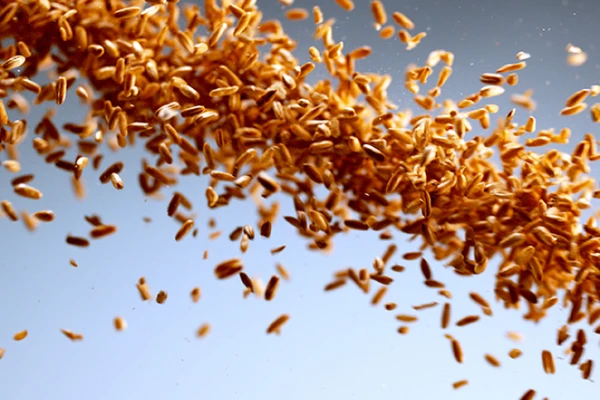 Oats