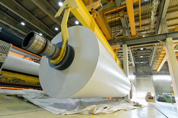 Pulp & Paper factory