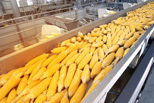 Corn processing facility