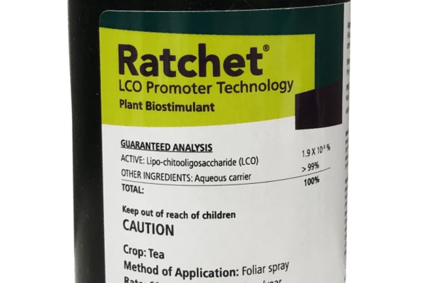 Ratchet Pack shot
