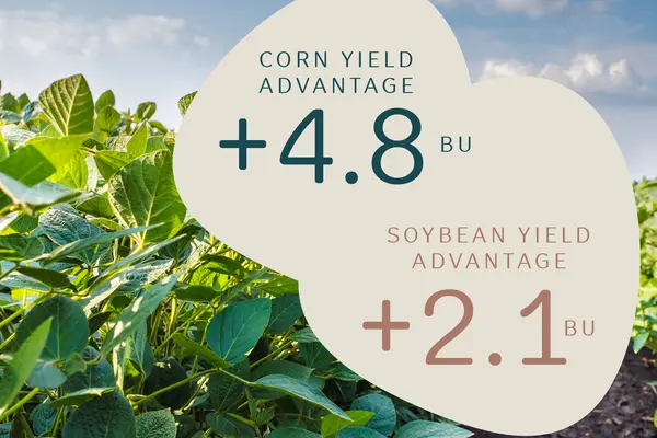 Corn Yield advantage_ratchet
