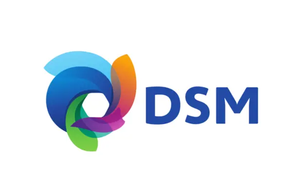 DSM logo