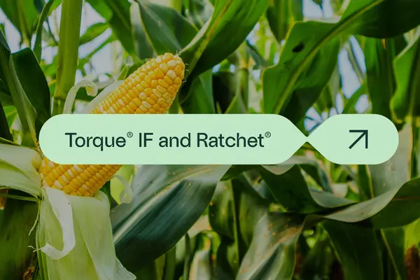 Toruqe IF & Ratchet with corn as background