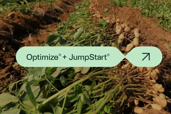 Optimize + JumpStart with peanuts field as background