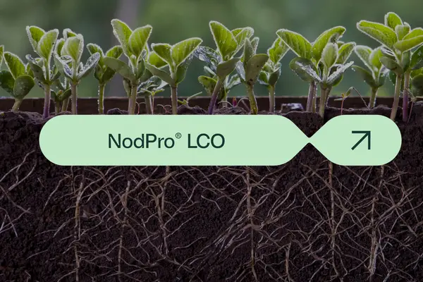 NodPro LCO with plant on the soils as background