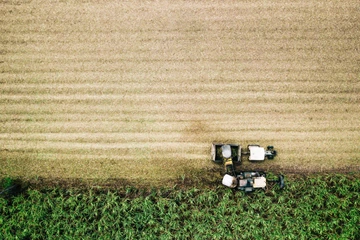 Tractor on cropfield