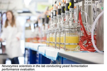 novozymes scientists in the lab conducting yeast fermentation performance evauation