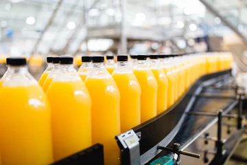 Orange Juice production chain