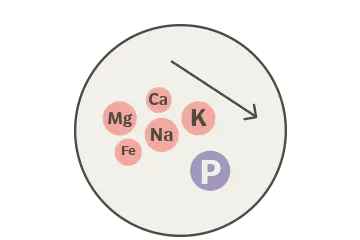 icon showing arrow of lower phosphorus and metals