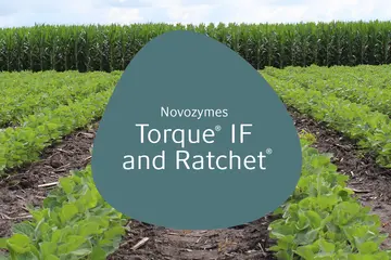 farming field with logo Novozymes Torque IF and Ratchet