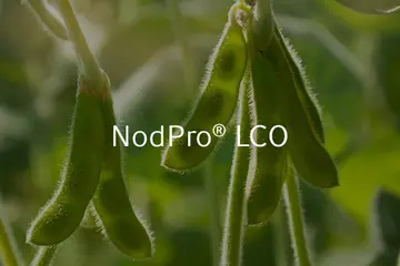 NodPro LCO with soy as background