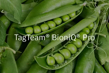 TagTeamBioniQ Pro- Improved Granular with pea as background