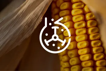 corn wet milling icon