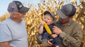 toddler eating corn